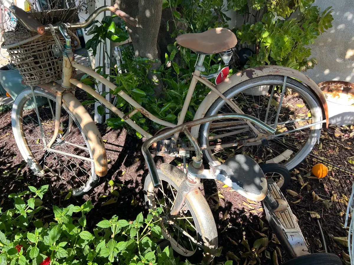 Vintage Women's Cruiser Bicycle