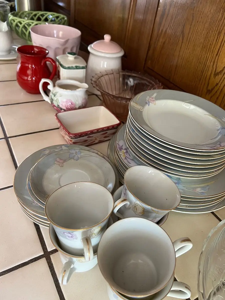 Set of floral dinner plates